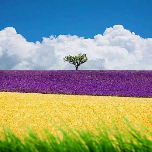 یه کاری کن همه به ما حسادت کنن